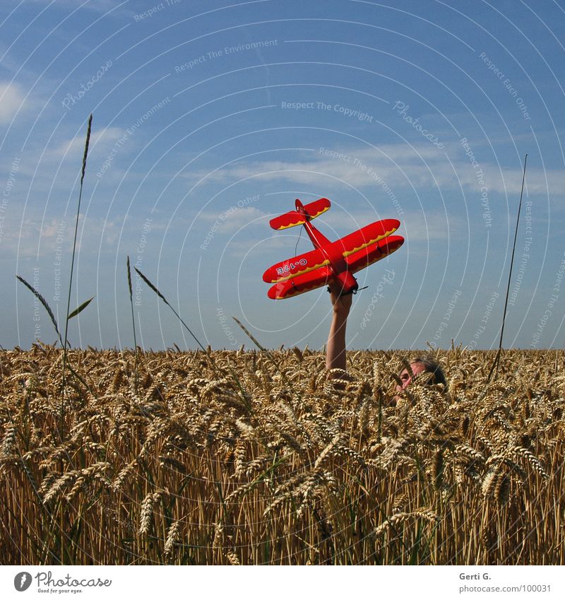 Flieger, grüß mir die Sonne Modellflugzeug Kornfeld rot Hand verdeckt unsichtbar Tarnung Fluggerät Propeller Oberkörper Weizen niedlich Weizenfeld Gras tauchen