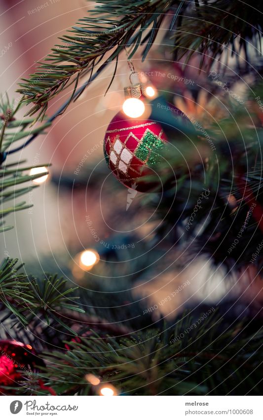 stimmungsvoll Weihnachten & Advent Winter Baum Christbaum Weihnachtsbaum Tannenzweig Christbaumkugel Bokeh Lichterglanz Lichterkette Weihnachtsdekoration