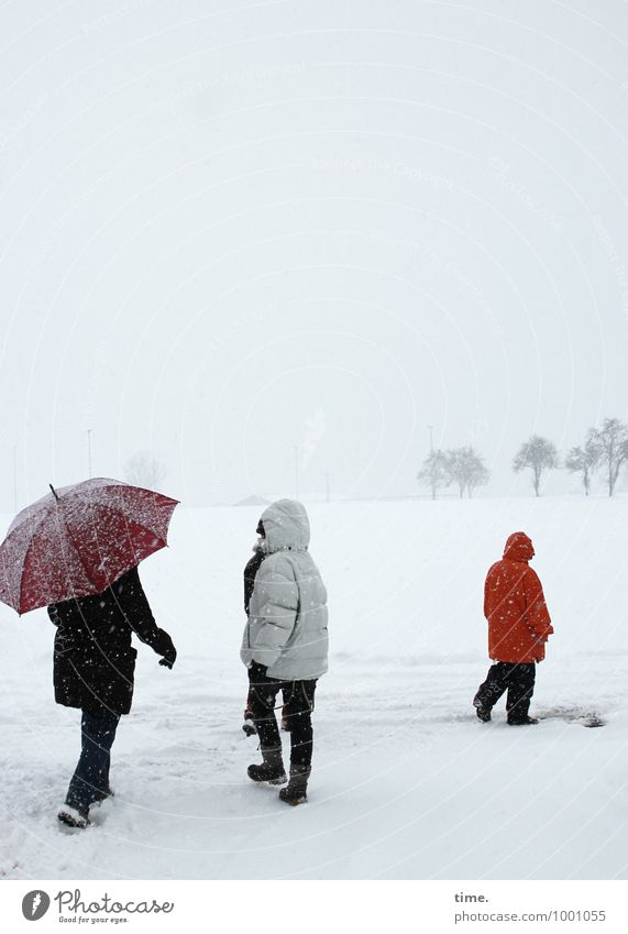 Pfadfinderinnen Frau Erwachsene 4 Mensch Umwelt Natur Landschaft Himmel Winter Schnee Schneefall Baum Schutzbekleidung Jacke Mantel Anorak Kapuze Regenschirm