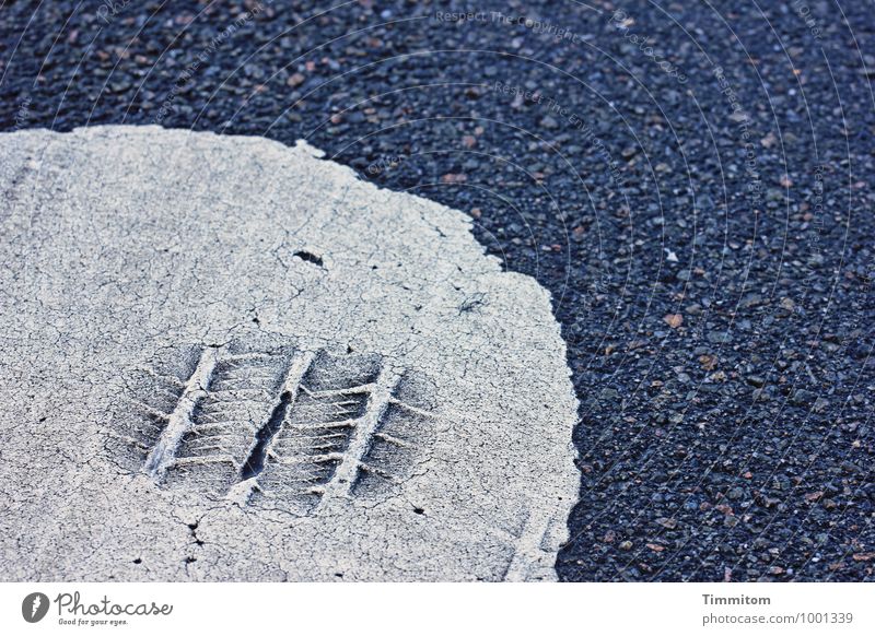 Spurensicherung. Straße Schilder & Markierungen Linie ästhetisch einfach grau weiß Neugier Reifenspuren Farbe Muster Farbfoto Außenaufnahme Menschenleer Tag