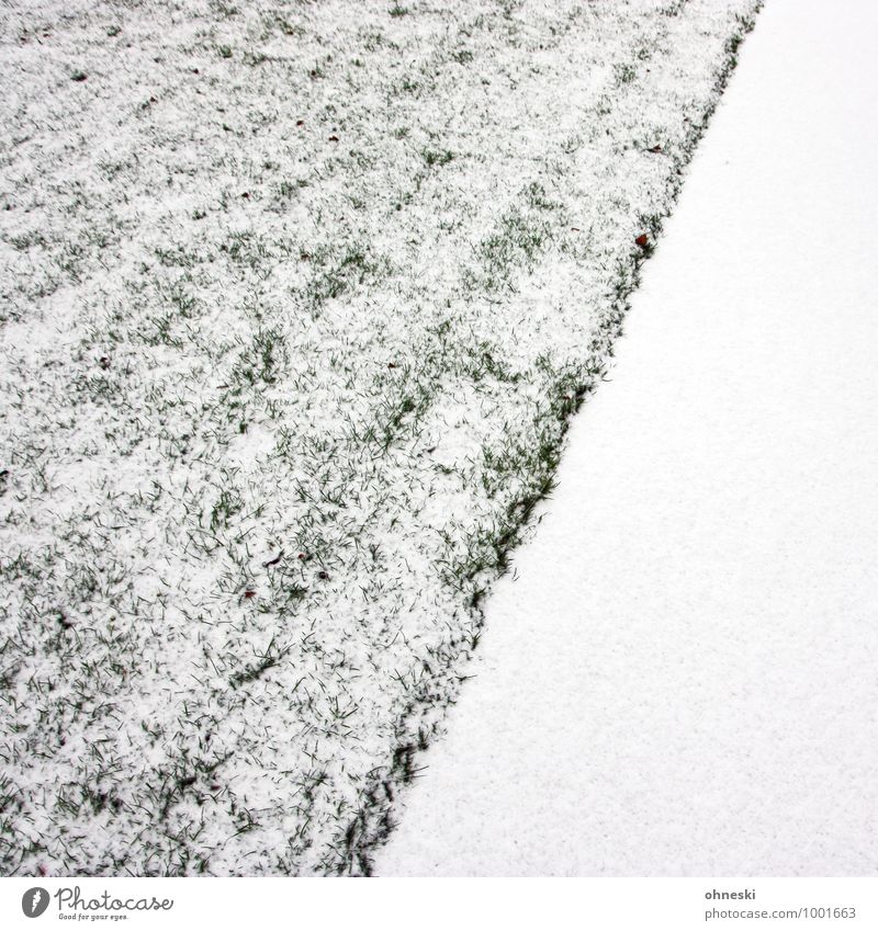 Whiteout Urelemente Erde Eis Frost Schnee Garten Wiese kalt weiß Farbfoto Gedeckte Farben Außenaufnahme abstrakt Muster Strukturen & Formen Textfreiraum links