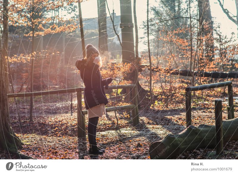 ErkältungsZeit Gesundheit Krankheit Junge Frau Jugendliche 18-30 Jahre Erwachsene Winter Schönes Wetter Wald Jacke Stiefel Mütze stehen authentisch Holzbrücke