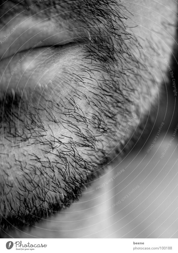 schwarzweiße Stoppeln Bart Mann Kinn Lippen Bartstoppel Dreitagebart Gesicht Mund bärtiger Mann Haare & Frisuren Anschnitt
