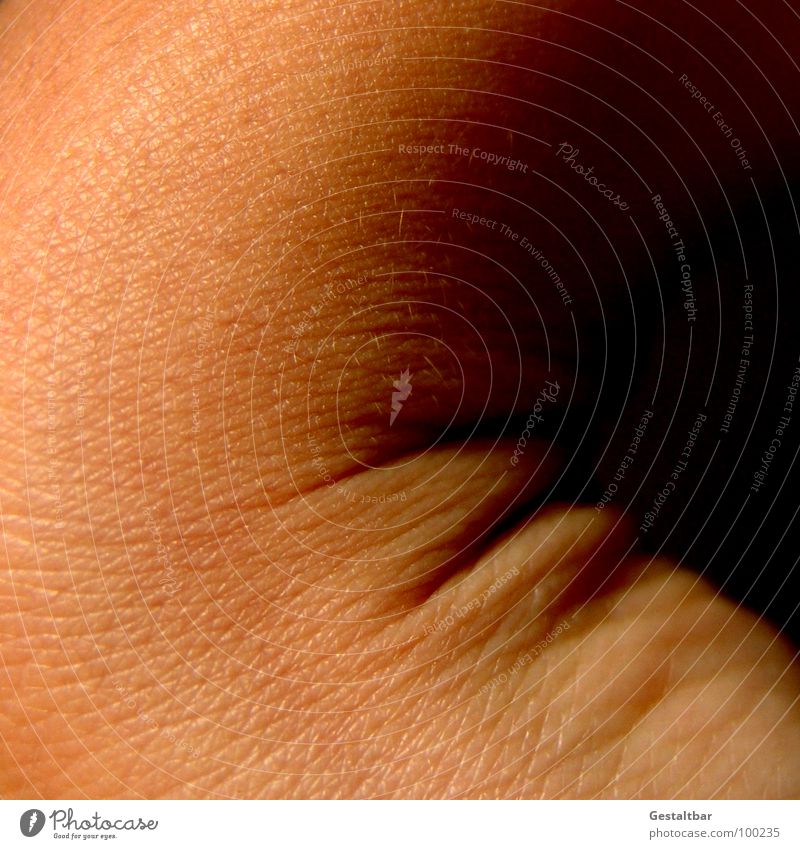 Faltenwurf Gelenk Hautfarbe nackt Dermatologie Anatomie gestaltbar Makroaufnahme Nahaufnahme Strukturen & Formen verrenken Verrenkung Hautkunde Gesundheit