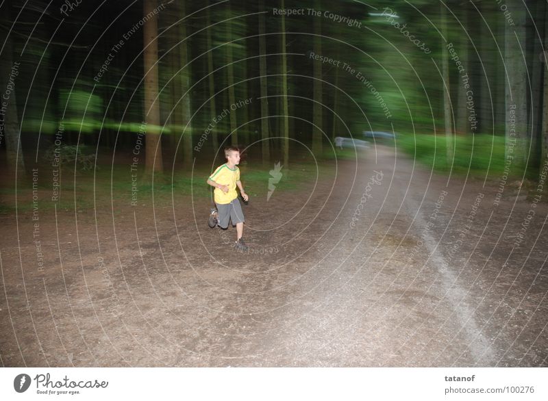Speed Spielen Sport Joggen Jugendliche Wald Wege & Pfade rennen Bewegung laufen toben sportlich frei Fröhlichkeit Gesundheit Geschwindigkeit braun gelb grün
