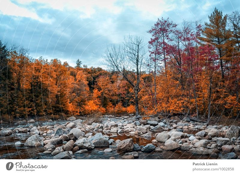 New Hampshire Leben harmonisch Zufriedenheit Sinnesorgane Erholung Berge u. Gebirge wandern Umwelt Natur Landschaft Pflanze Urelemente Erde Himmel Wolken Herbst