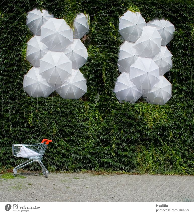 RESTEKISTE Regenschirm weiß Hecke Efeu grün Einkaufswagen kaufen Gitter vergessen Rest Kunst Kunsthandwerk Kultur Vergänglichkeit Sand Überflüssig