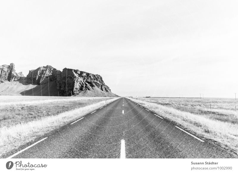 iceland Straße Straßenmarkierung Island Felsen karg Landschaft schwarzweiß Feld allein