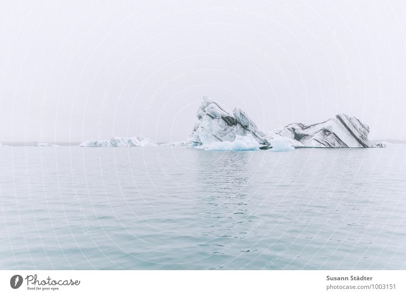 Jökulsárlón Eisberg Schwimmen & Baden eiskalt Eiswasser Möven Island Gletschereis Gletscherschmelze Gletschersee Gletscher Vatnajökull