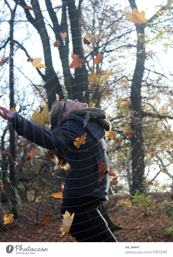 Yipieh! feminin Kindheit Jugendliche Leben 1 Mensch 13-18 Jahre Umwelt Natur Landschaft Pflanze Sonne Herbst Schönes Wetter Baum Blatt Park Jacke Schal Bewegung