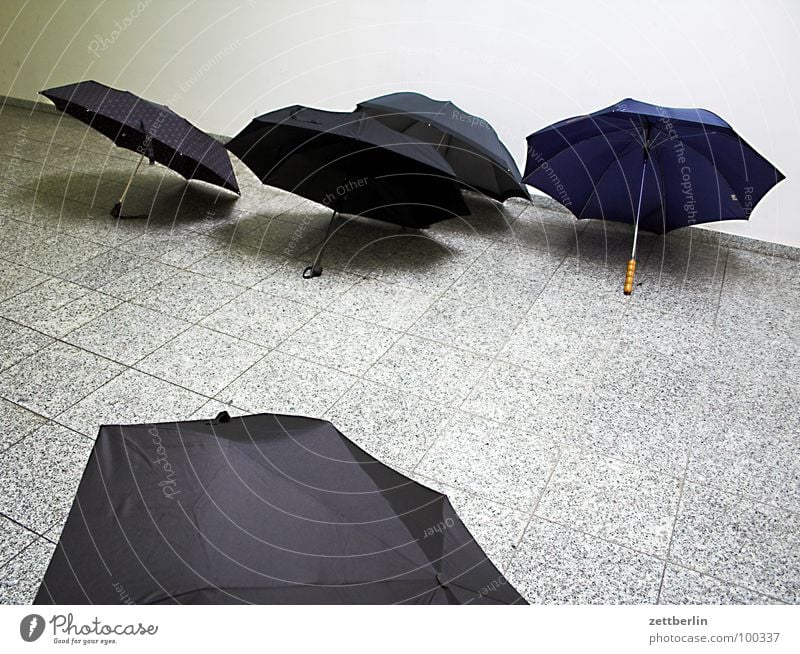 Schirme nass Nieselregen schwarz Dach 8 Herbst Regenschirm Schutz