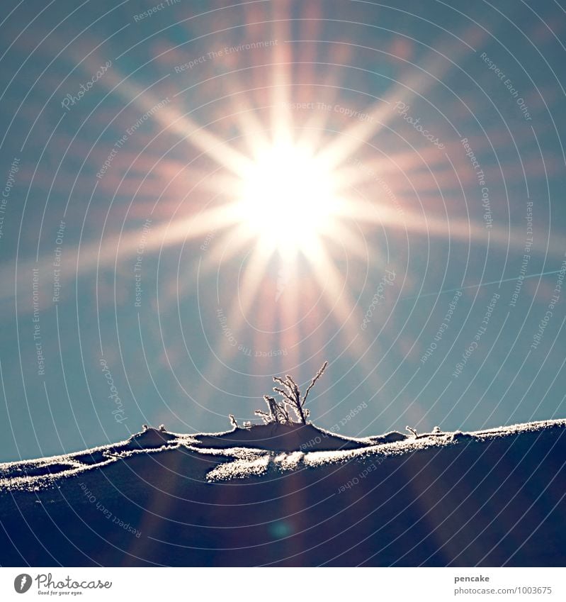 außergewöhnlich | tagfeuerwerk Natur Landschaft Urelemente Himmel Sonne Winter Schönes Wetter Schnee Discokugel Zeichen fantastisch gigantisch glänzend