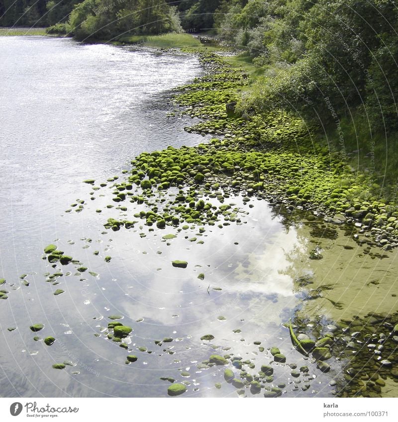 stille Wasser... Baum Reflexion & Spiegelung Wolken Algen ruhig Kanada grün Fluss Bach Stein