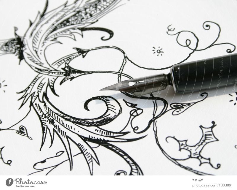 Schnörkel II Tusche Blume schwarz weiß gemalt gezeichnet Papier Feder zeichnen Bild Schatten