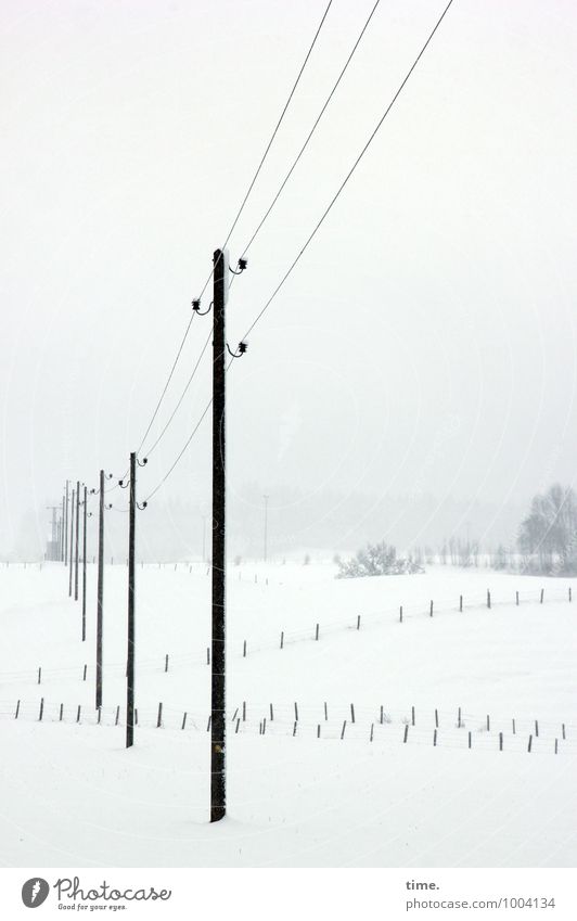 Überlebenslinien Landwirtschaft Forstwirtschaft Energiewirtschaft Technik & Technologie Hochspannungsleitung Kabel Himmel Winter Schnee Zaun kalt nachhaltig