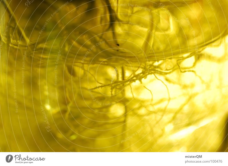 Yellow Braindeath gelb Wurzel Gehirn u. Nerven Ekel Reifezeit abstrakt Bambusrohr außergewöhnlich verrückt durchwachsen Flasche Glasbehälter seltsam suspekt