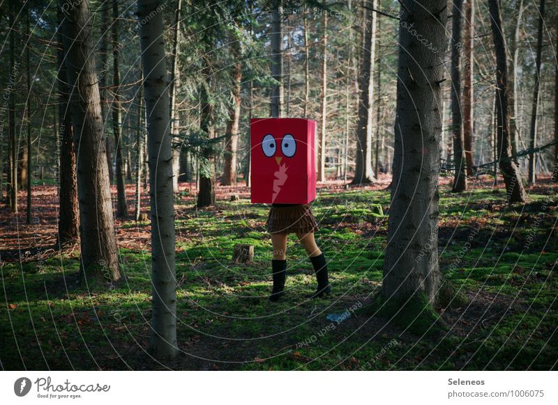 Piep Karneval Mensch 1 Umwelt Natur Landschaft Baum Moos Wald Maske Stiefel Vogel verrückt Pappschachtel verkleiden Farbfoto Außenaufnahme Tag
