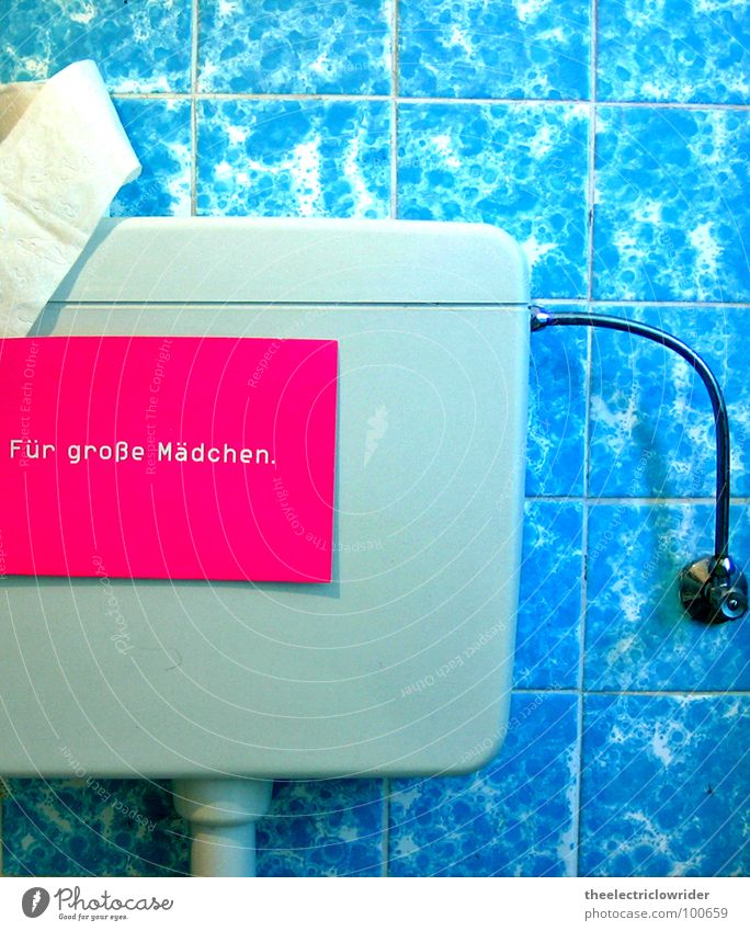 Nur Für Große Mädchen Toilette Toilettenpapier blau rosa weiß Toilettenspülung Bad Fliesen u. Kacheln Schilder & Markierungen groß spülen urinieren Buchstaben
