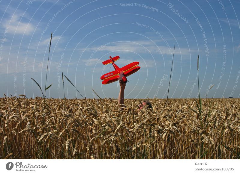 midair Flugzeug Modellflugzeug Kornfeld rot Hand verdeckt unsichtbar Tarnung Fluggerät Oberkörper Weizen niedlich Weizenfeld Gras tauchen Modellbau Spannweite