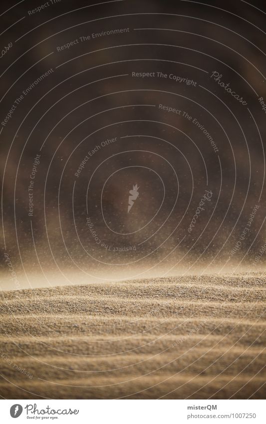 Wüstenwind I Umwelt Natur Landschaft ästhetisch Zufriedenheit Sand Sandstrand Sandsturm Wind Urlaubsfoto Urlaubsstimmung Wärme Detailaufnahme Sahara Sandkorn