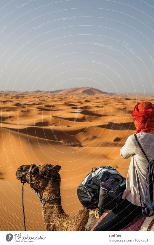 Wüste (7/10) Sand Düne Wärme Ferien & Urlaub & Reisen Tourismus Naher und Mittlerer Osten Arabien Sahara 100 und eine Nacht Marokko Algerien Tunesien Abenteuer