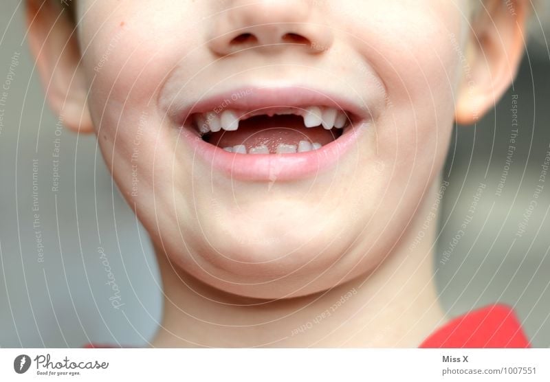 Mut zur Lücke Mensch maskulin Kind Kleinkind Junge Kindheit Mund Zähne 1 3-8 Jahre Zahnlücke Zahnarzt Zahnpflege Zahnschmerzen Wachstum Vampir beißen Farbfoto