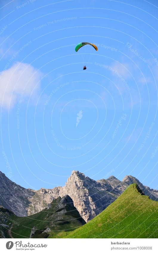 Hoch soll er leben! Sport Gleitschirmfliegen 1 Mensch Natur Landschaft Luft Himmel Sommer Alpen Berge u. Gebirge Allgäuer Alpen Nebelhorn (Berg) Gipfel hoch