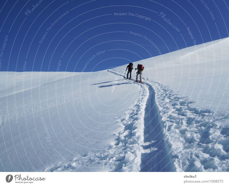 Tour de Ski sportlich Fitness Sport Wintersport Sportler Skifahren Skier Mensch maskulin 2 Natur Landschaft Schönes Wetter Schnee Alpen Berge u. Gebirge