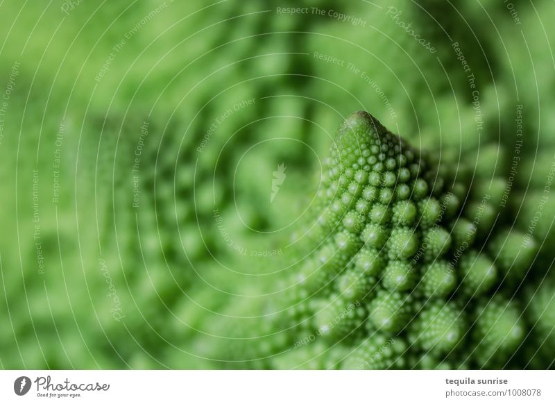 Fibonacci-Gemüse I Lebensmittel Ernährung Bioprodukte Vegetarische Ernährung Pflanze Nutzpflanze Romanesco frisch Gesundheit grün fraktal fibonacci Farbfoto