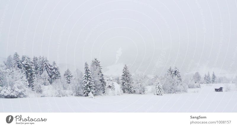 Winterlandschaft Schnee Winterurlaub Natur Landschaft Himmel Wolken Schönes Wetter Schneefall Baum Wald Hügel Berge u. Gebirge Hütte weiß Lebensfreude ruhig