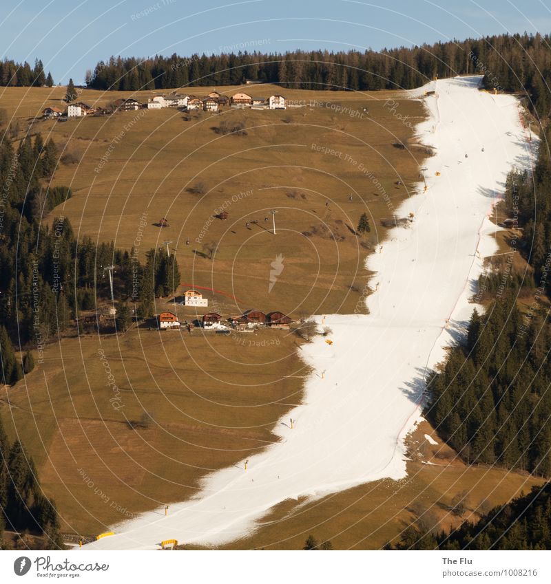 Klimawandel im Wintersport Skifahren Skigebiet Ferien & Urlaub & Reisen Tourismus Schnee Winterurlaub Berge u. Gebirge Umwelt Baum Gras Wald Alpen Italien