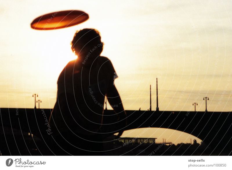 Abendgelber Elbsegler Spielen Frisbee Silhouette Dresden Aktion Jugendliche Freude werfen Fensterscheibe Brücke Elbwiese Wärme Sonne