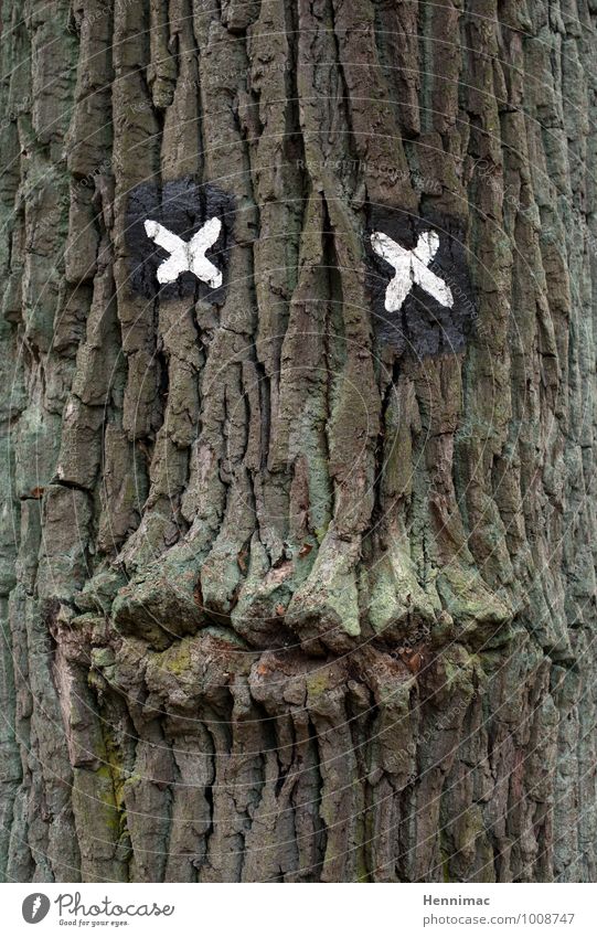 Guter Zuhörer. Skulptur Natur Tier Baum Zeichen Schilder & Markierungen Kreuz alt braun grün Verschwiegenheit Freundschaft geheimnisvoll Kontakt Kreativität