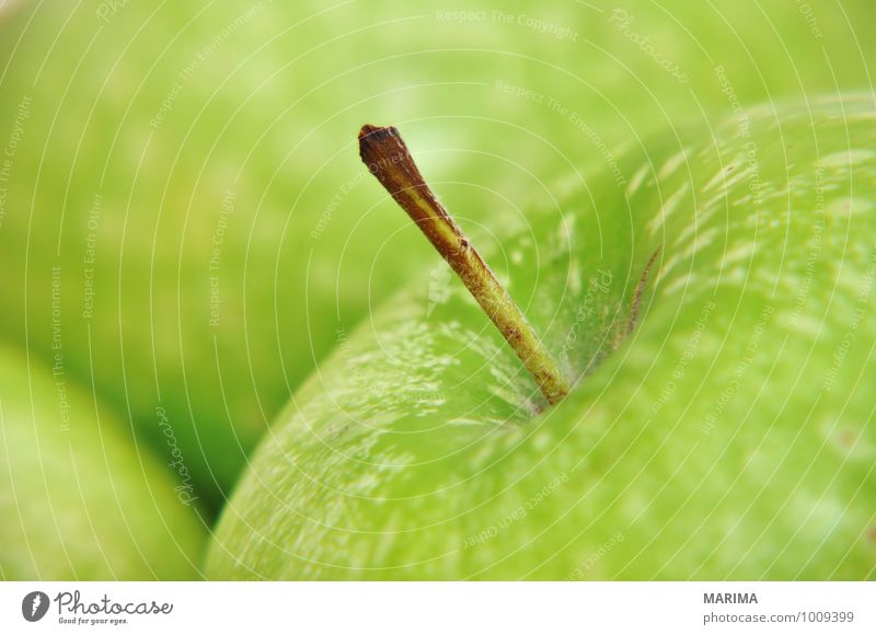 Detail of a green apple Lebensmittel Frucht Apfel Ernährung Vegetarische Ernährung Umwelt Natur frisch lecker grün Apfelschale apple skin bio biologisch