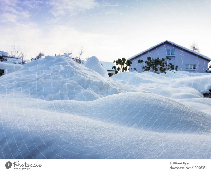 Landschaft im Schnee versunken Design Winter Umwelt Natur Klima Schneefall Garten Wiese Haus ästhetisch blau weiß Heimweh Frieden Gefühle Hoffnung Horizont