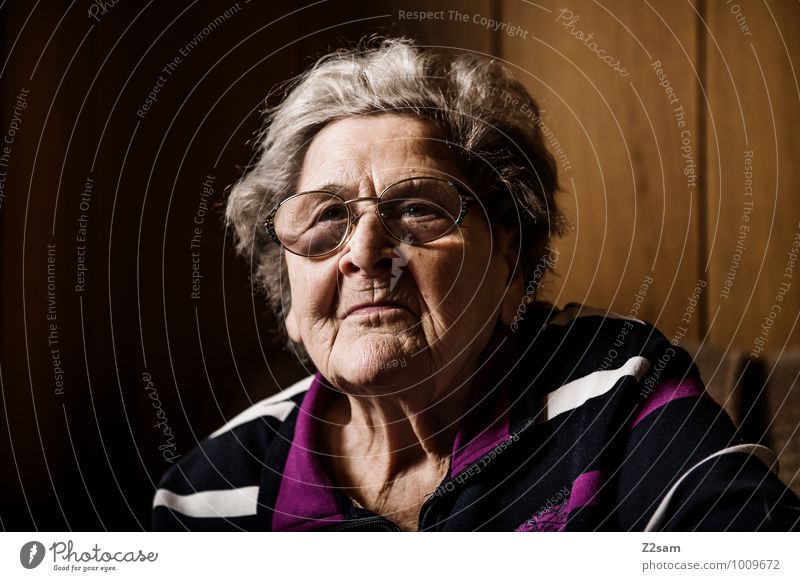 Oma Gesundheit Seniorenpflege Häusliches Leben Wohnung feminin Weiblicher Senior Frau Großmutter 60 und älter Pullover Brille weißhaarig alt Denken Lächeln