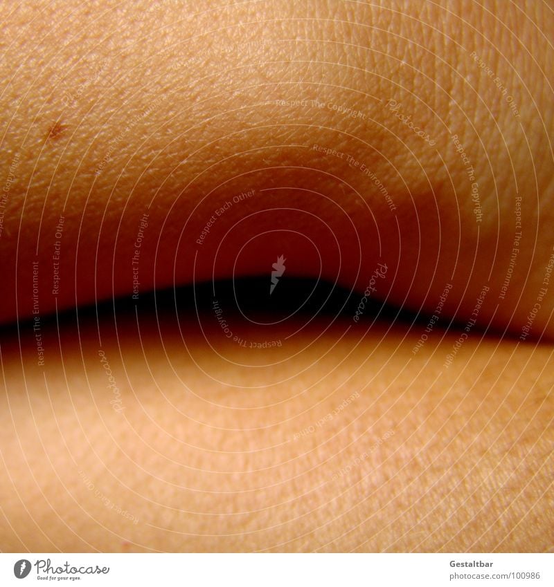 Schönheitsfleck. Gelenk Hautfarbe nackt Leberfleck Dermatologie Anatomie gestaltbar schön Falte Strukturen & Formen Fleck Hautkunde kann man nicht gebrauchen