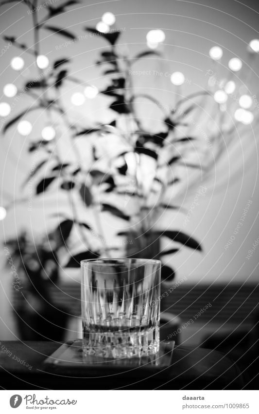 Moment Getränk Erfrischungsgetränk Alkohol Spirituosen Whiskey Whiskeyglas Lifestyle Stil Freude Freizeit & Hobby Abenteuer Freiheit Wohnung Lampe Sofa
