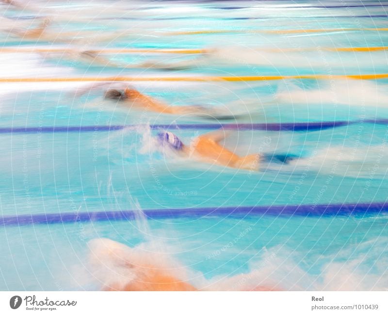 Schwimmen DLRG Rettungsschwimmer Kraulstil schwimmen Schwimmsport Schwimmsportler Mensch 6 Menschengruppe 13-18 Jahre Kind Jugendliche Schwimmbad sportlich