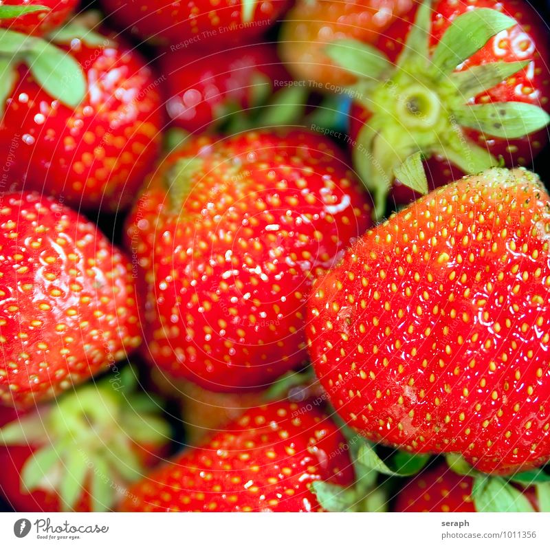 Erdbeeren Vorspeise Beeren Kalorie lecker Dessert Diät Hintergrundbild Konsistenz Muster Lebensmittel Gesunde Ernährung Foodfotografie frisch Erfrischung Frucht