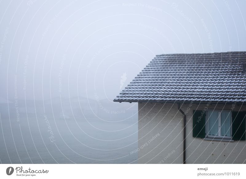 das tägliche Grau Umwelt Natur Winter schlechtes Wetter Nebel Eis Frost Schnee Haus Einfamilienhaus Mauer Wand Fassade Fenster kalt grau trist Farbfoto