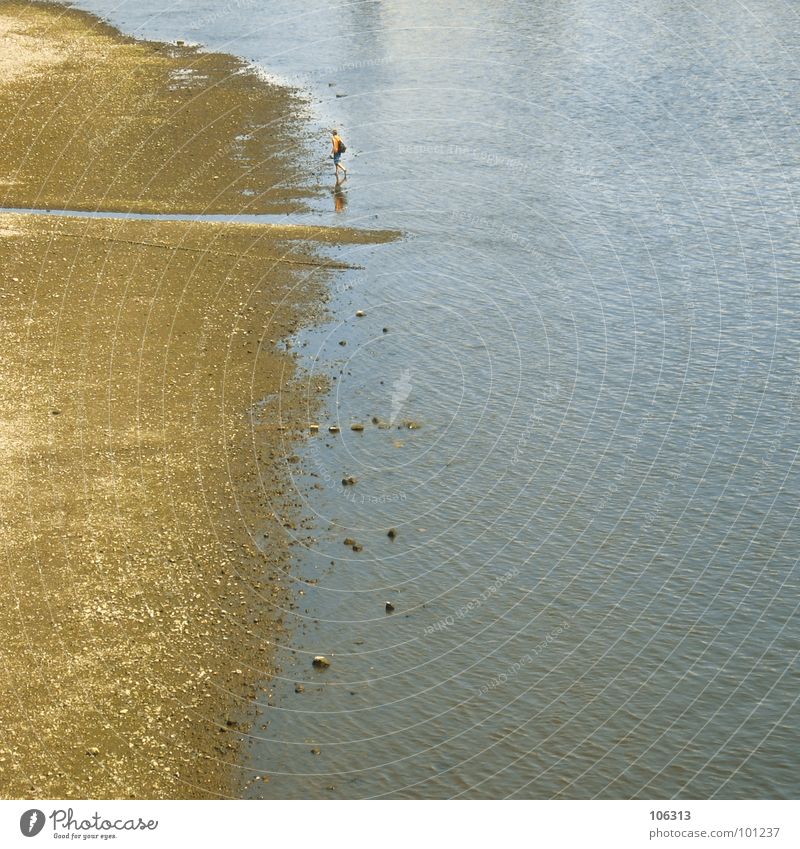 MODERN LONELINESS Strand Küste Meer See Suche Kinderwagen schieben Zerreißen drücken Spielen Spaziergang Mann Einsamkeit abgelegen Menschenleer Einsiedler ruhig