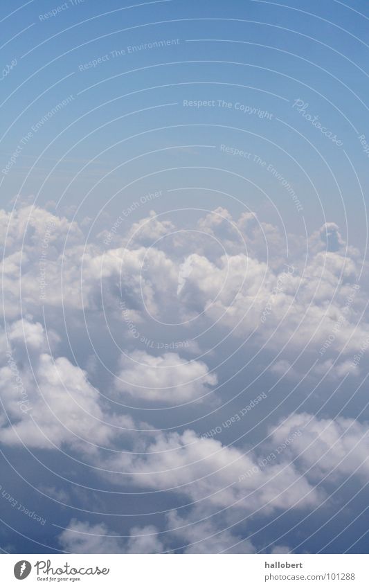 Wolken & Himmel_01 Meer über den Wolken Luftverkehr Wetter Flugzeugfenster