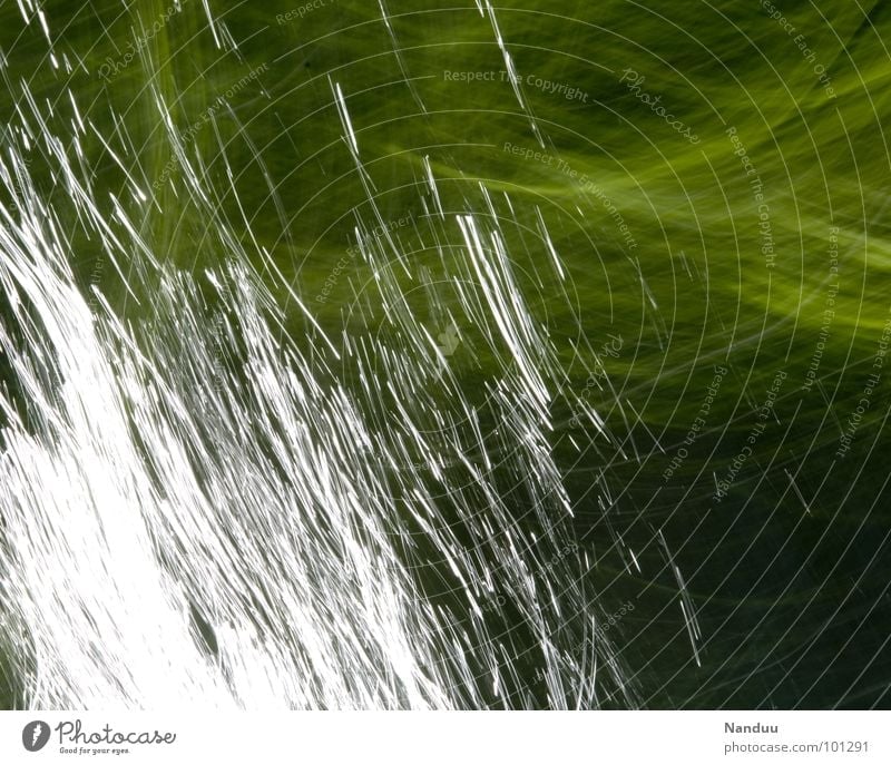 Lichtmalerei grün glänzend weiß abstrakt Hintergrundbild Linie Gemälde Bach Gezwitscher Sonnenlicht Langzeitbelichtung Blatt Strömung Sommer Fluss Lichtspritzer