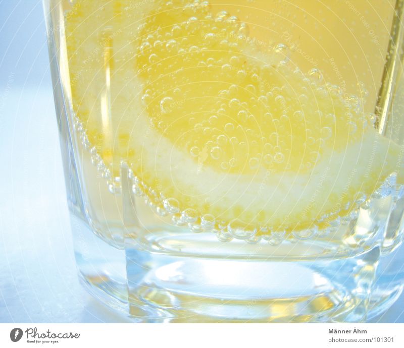 Für euch 1 Zitrone Ginger Ale prickeln trinken Sommer Erfrischung Getränk kalt Gastronomie Frucht Wasser erfrischen Durst Glas Sonne Coolness fresh