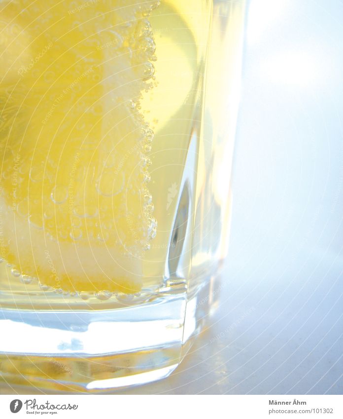 Für euch 2 Zitrone Ginger Ale prickeln trinken Sommer Erfrischung Getränk kalt Gastronomie Frucht Wasser erfrischen Durst Glas Sonne Coolness fresh