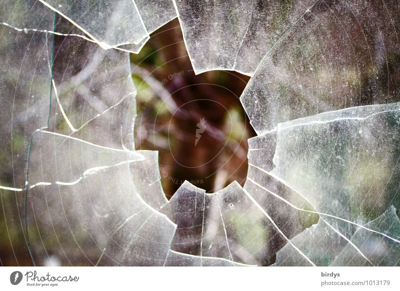 der Durchbruch Fensterscheibe Glas Loch authentisch kaputt Wut Aggression bedrohlich Wandel & Veränderung Zerstörung Scherbe Scharfer Gegenstand zerborsten