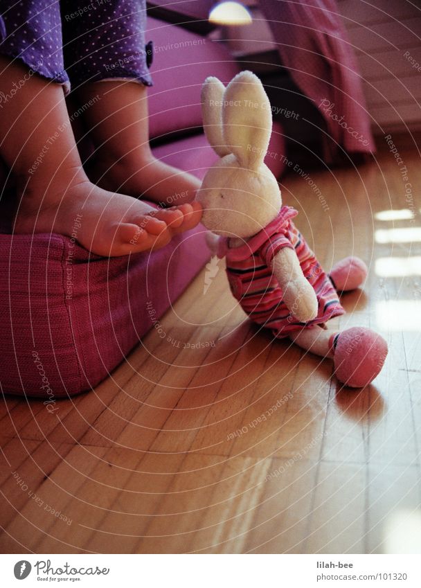 Schnüffler Hase & Kaninchen rosa Kleinkind Kind violett Spielzeug Hasenohren Zehen Kinderzimmer Fuß Käsefüße Punkt Geruch Übelriechend Osterhase Barfuß