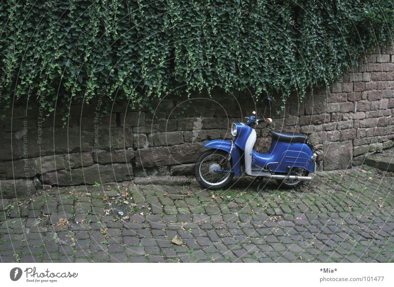 - abgestellt - Kleinmotorrad Fahrzeug grün braun Mauer dunkel Verkehr Kopfsteinplaster Pflanze blau Fahrradlenker Sitzgelegenheit Gedeckte Farben parken