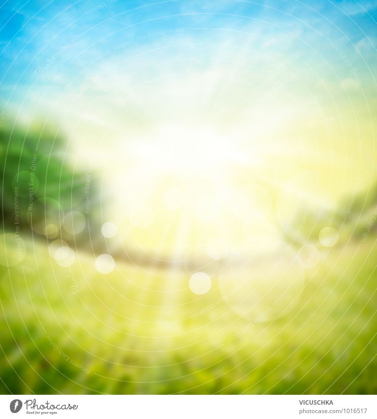 Verschwommene Natur Hintergrund mit Sonnenlicht Design Sommer Schreibtisch Pflanze Urelemente Himmel Horizont Frühling Schönes Wetter Garten Park Wiese Feld